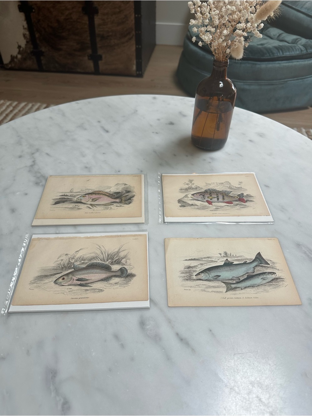 William Jardine's 19th-century The Naturalist's Library Rare Fish